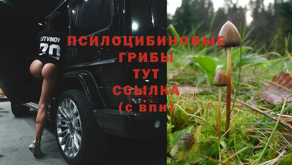 MESCALINE Михайловск