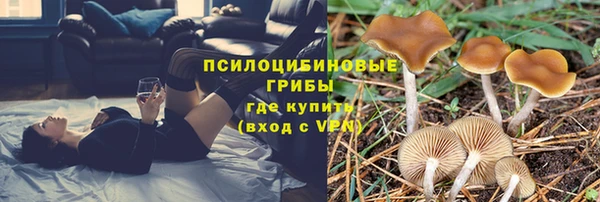 метадон Богданович