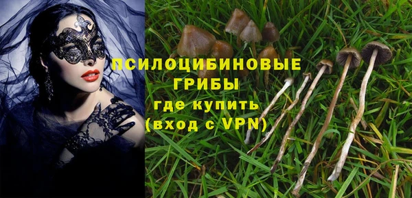 героин Михайлов