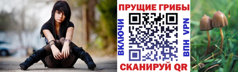 Псилоцибиновые грибы Magic Shrooms  ОМГ ОМГ сайт  Хотьково 